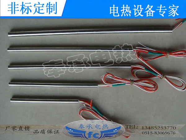 <b>可測溫單頭電熱管，帶偶</b>