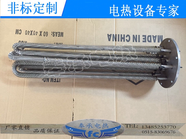 法蘭干燒電熱管，法蘭式